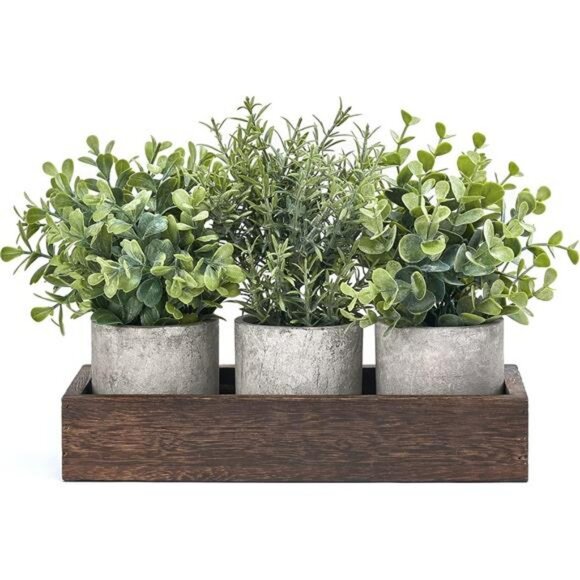 Set of 3 mini potted artificial eucalyptus plants with wood tray farmhouse decor - Picture 1 of 7
